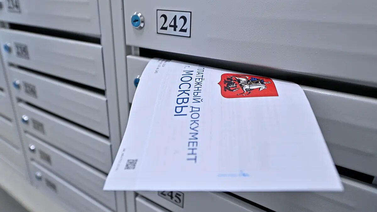    Фото: vm.ru Руслан Титов