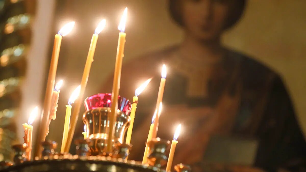    Фото: vm.ru Анна Сычева