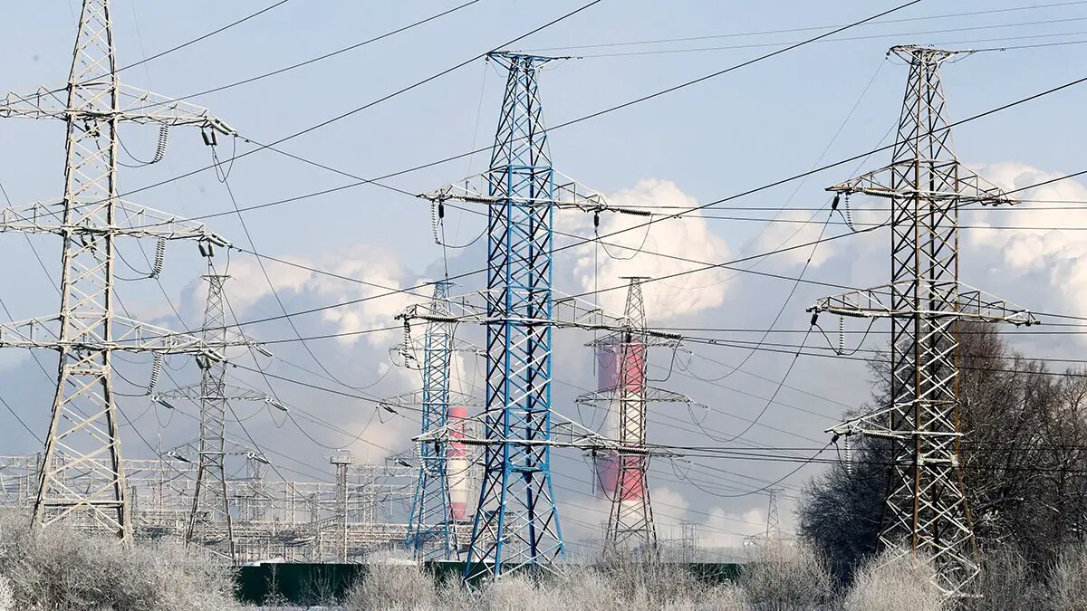    Фото: vm.ru Ульяна Лаптева