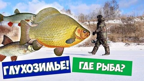 Февральская рыбалка: развеиваем мифы о глухозимье