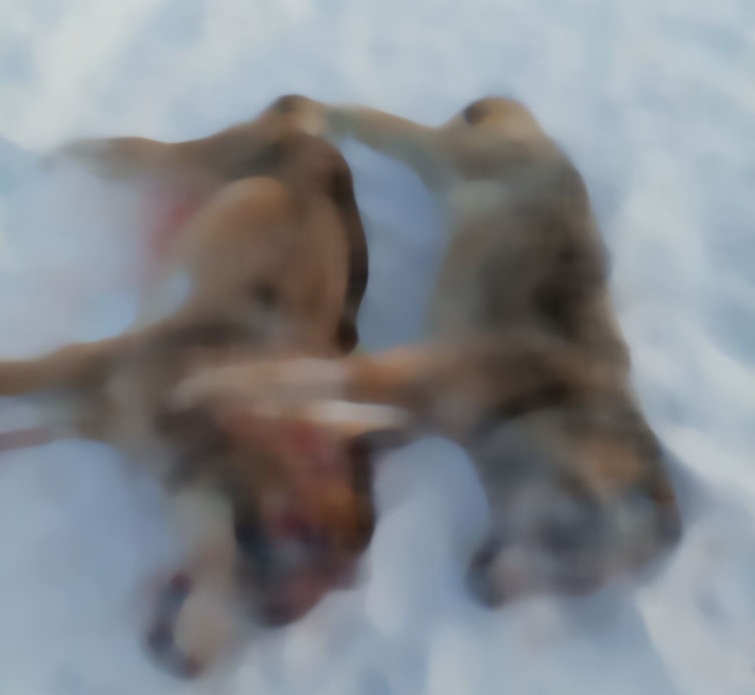    Фото предоставил Евгений Драган