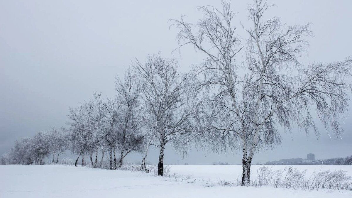    Фото: Юлия Мальцева