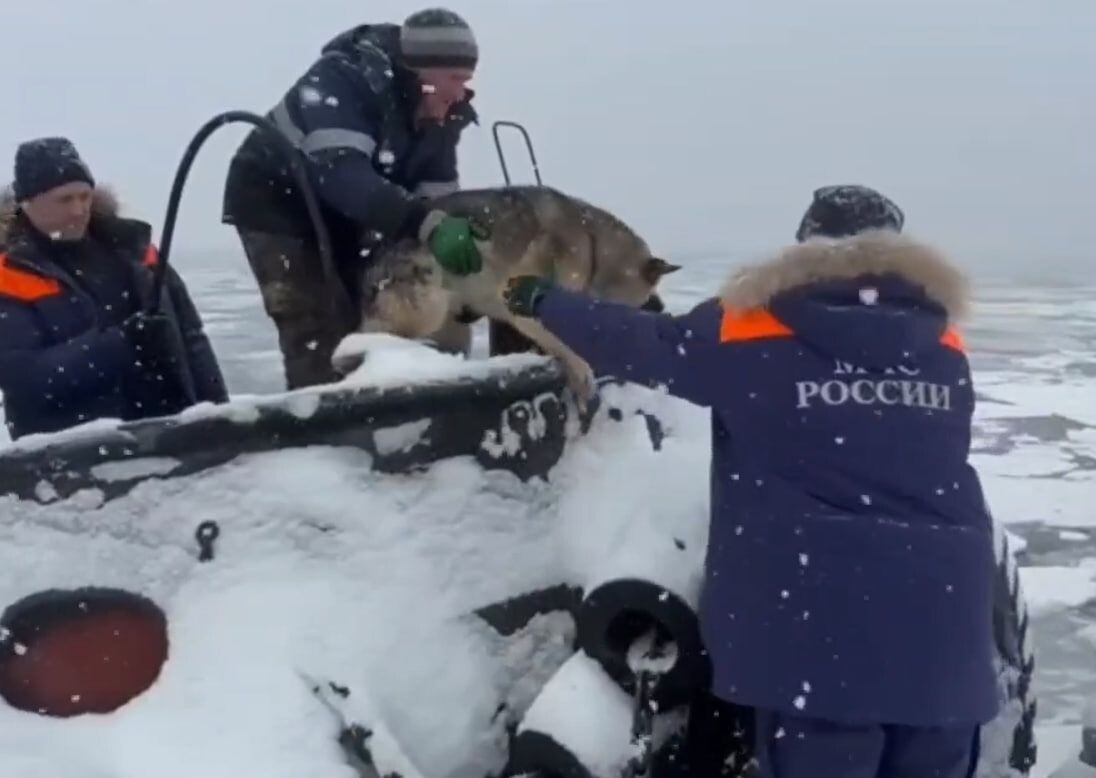     / Источник: Кадр из видео