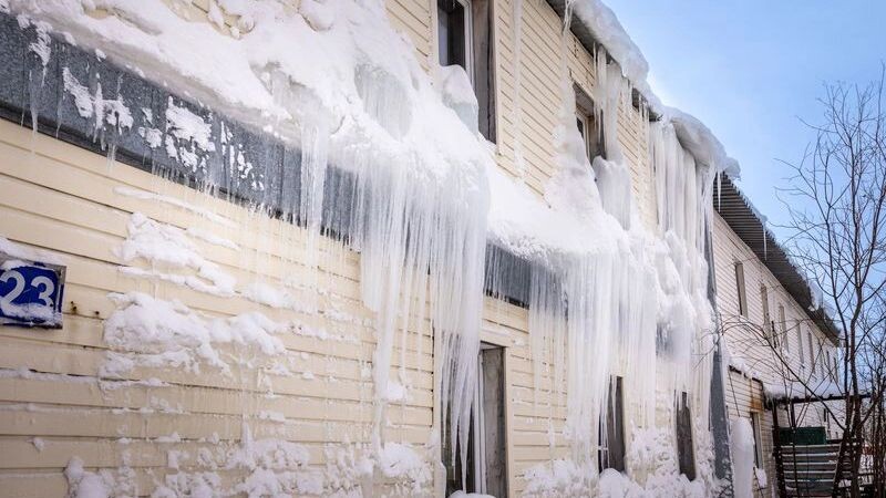   Фото: Федор Воронов / «Ямал-Медиа»