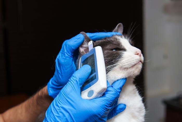 Обложка © Shutterstock / FOTODOM / fx-visual