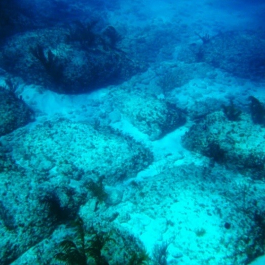 Дорога Бимини.