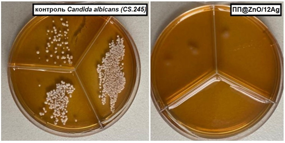 Результаты тестирования композитных пленок
Фото: ФТФ ТГУ