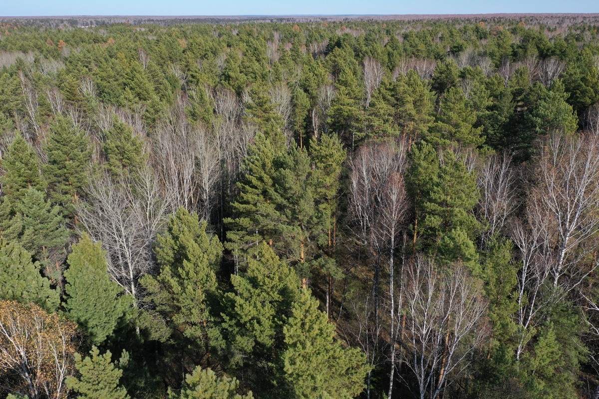 Фото из архива лаборатории БиоГеоКлим ТГУ Старинная карта и полевые работы на местности