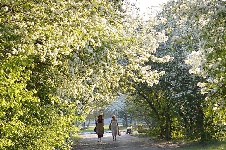 Время шло, отсчитывая секунды их общей, такой непростой, такой выстраданной и такой бесценной жизни