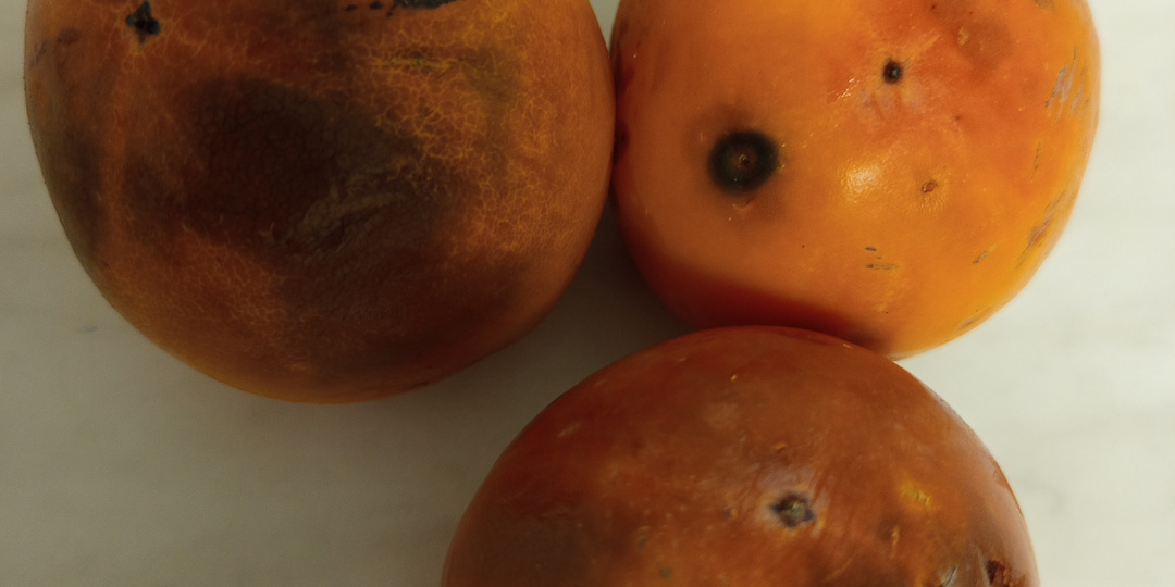 Мои новости, про швабру.