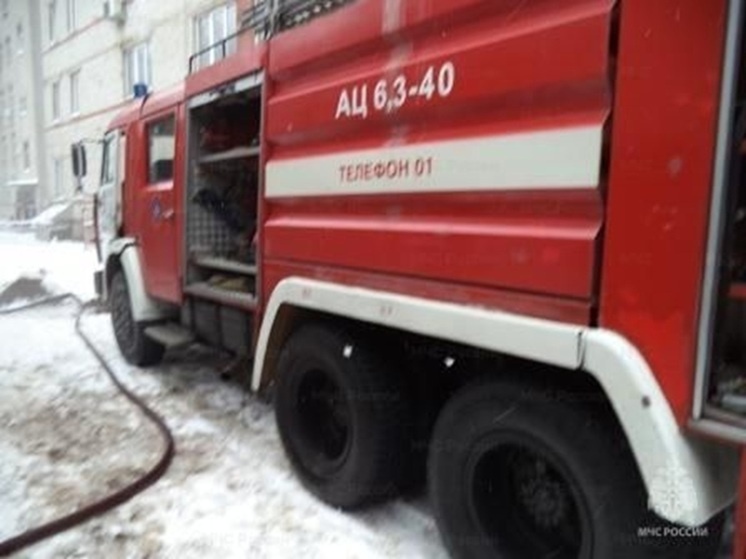     Фото: ГУ МЧС по Курской области