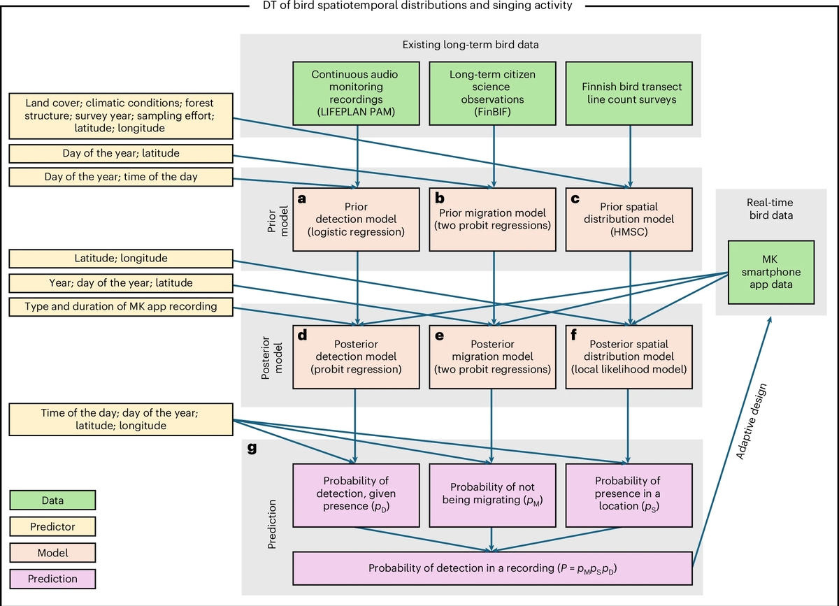 Обзор стратегии моделирования приложения. Ovaskainen, O., Winter, S., Tikhonov, G. et al. A digital twin for real-time biodiversity forecasting with citizen science data. Nat Ecol Evol (2026). https://doi.org/10.1038/s41559-025-02966-3
