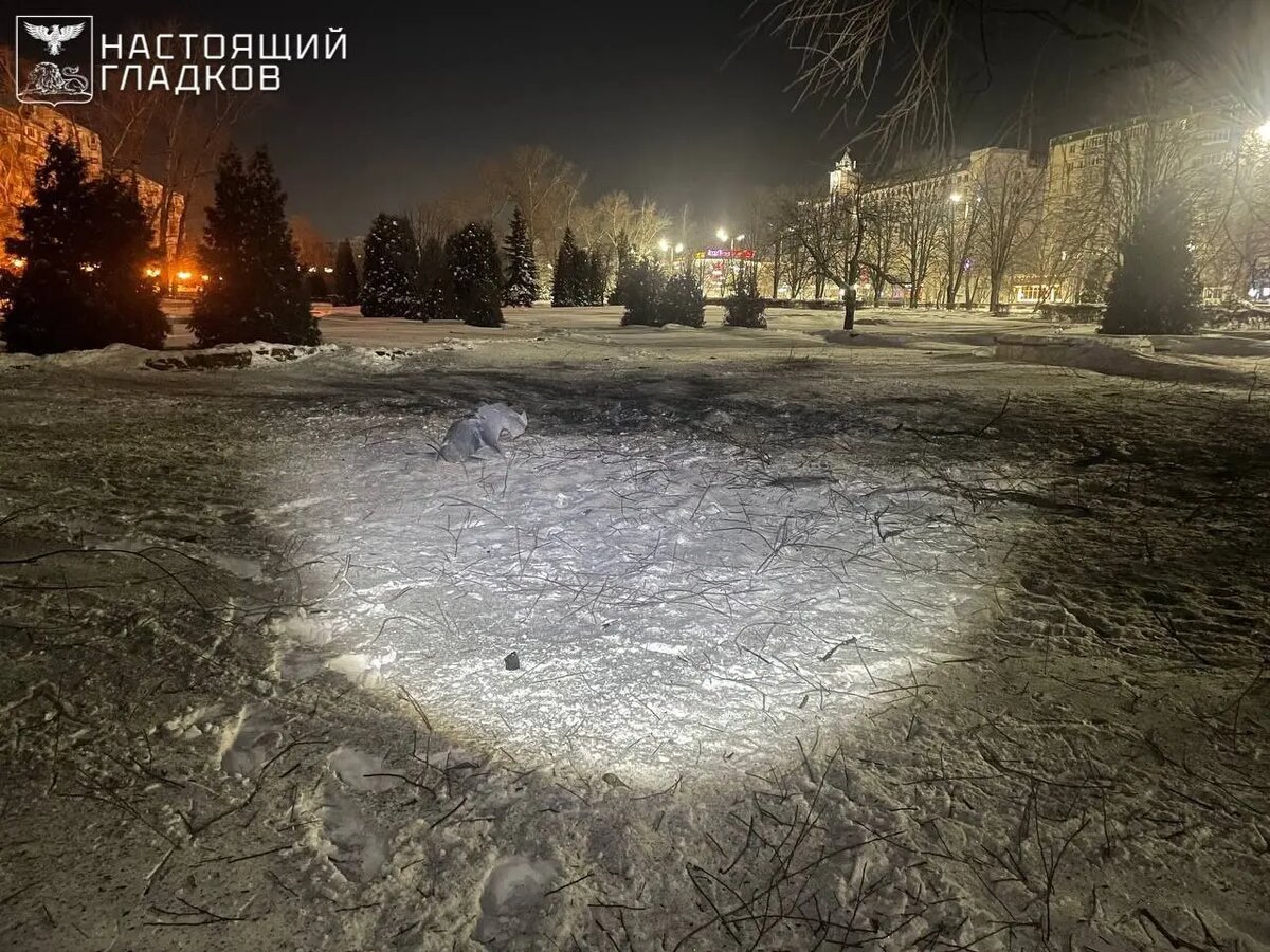    Фото: тг-канал Вячеслава Гладкова «Настоящий Гладков»