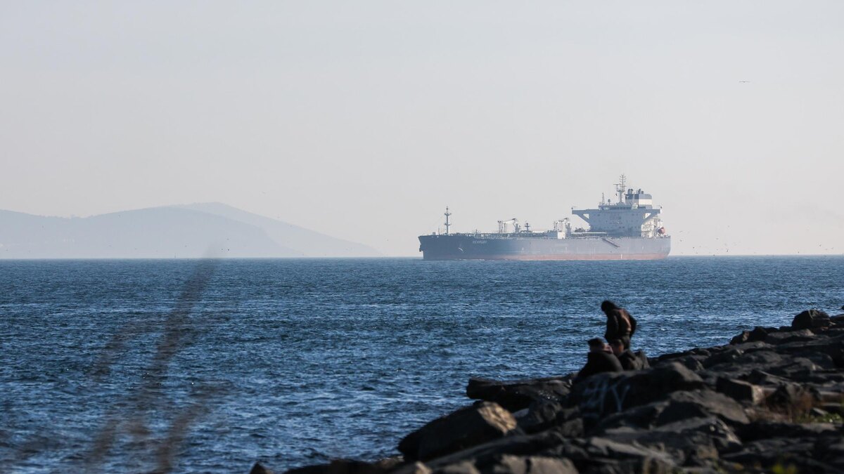    Фото: globallookpress.com/Belkin Alexey