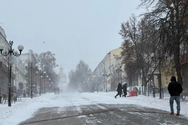    Фото: АиФ/ Владлены Курылевой
