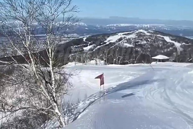 Фото: Telegram-канал «Readovka»