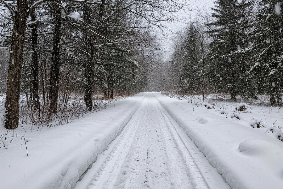   Фото: коллаж RuNews24.ru