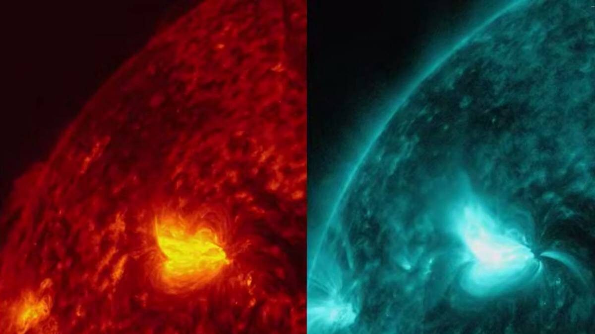    Фото: Лаборатория солнечной астрономии (XRAS)