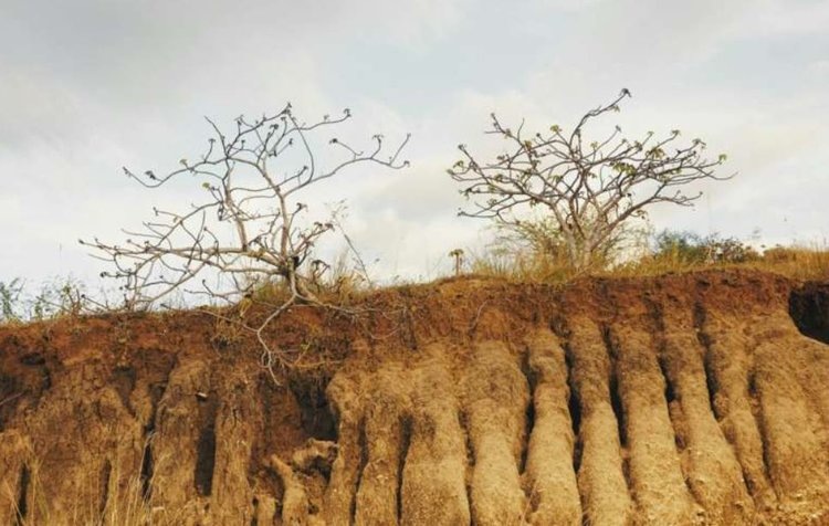    Фото: Fandy Much/Pexels