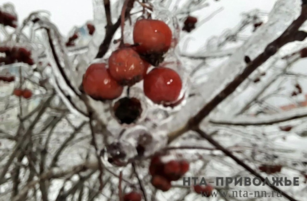    Народные приметы: 2 февраля