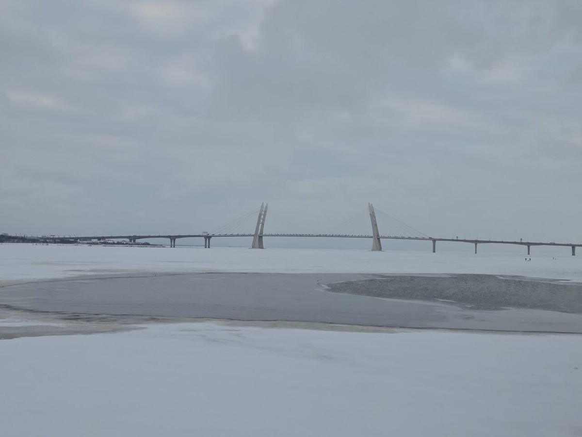     Фото: "Бриф24"