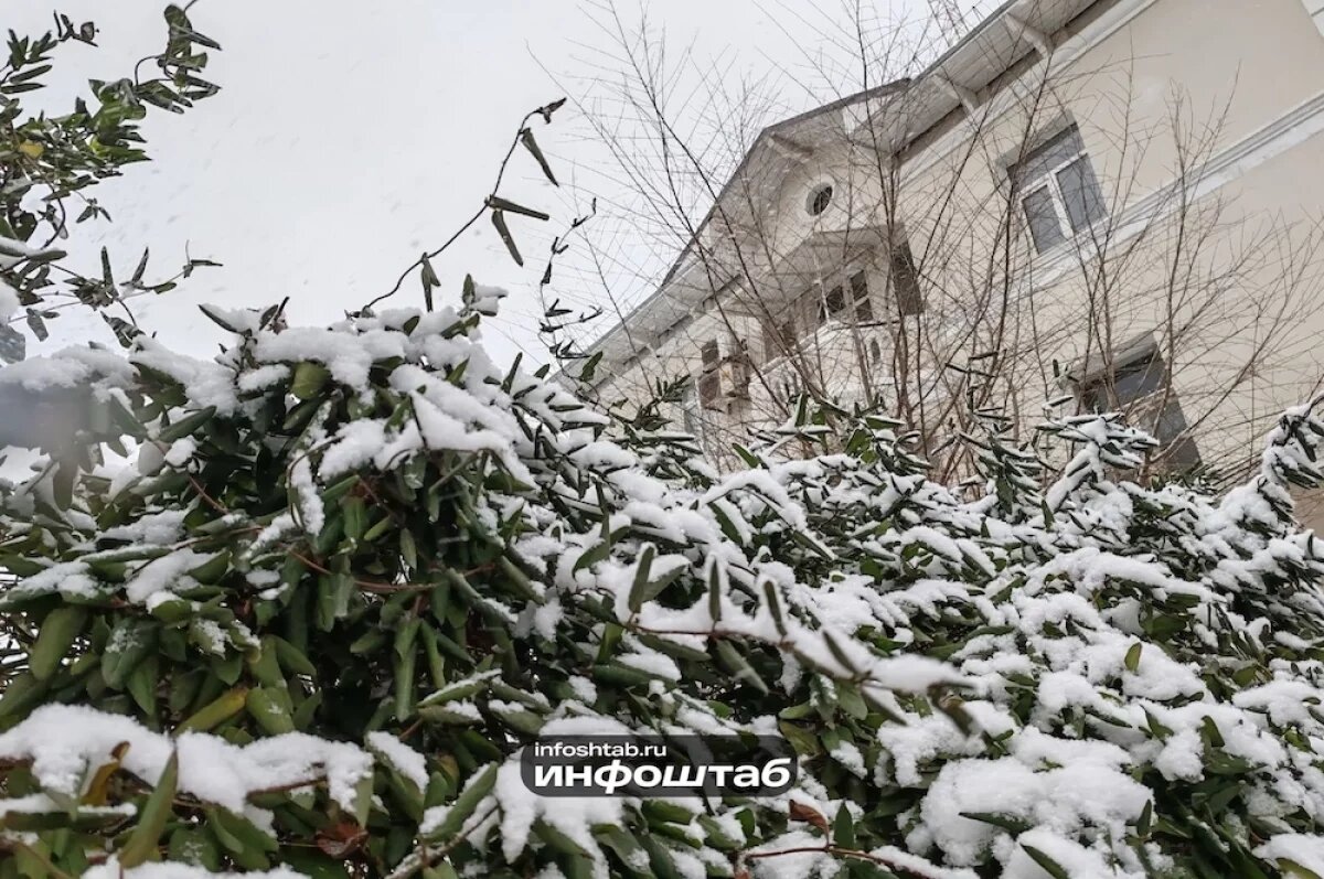    Туман и гололедица ожидаются в Астраханской области 2 февраля