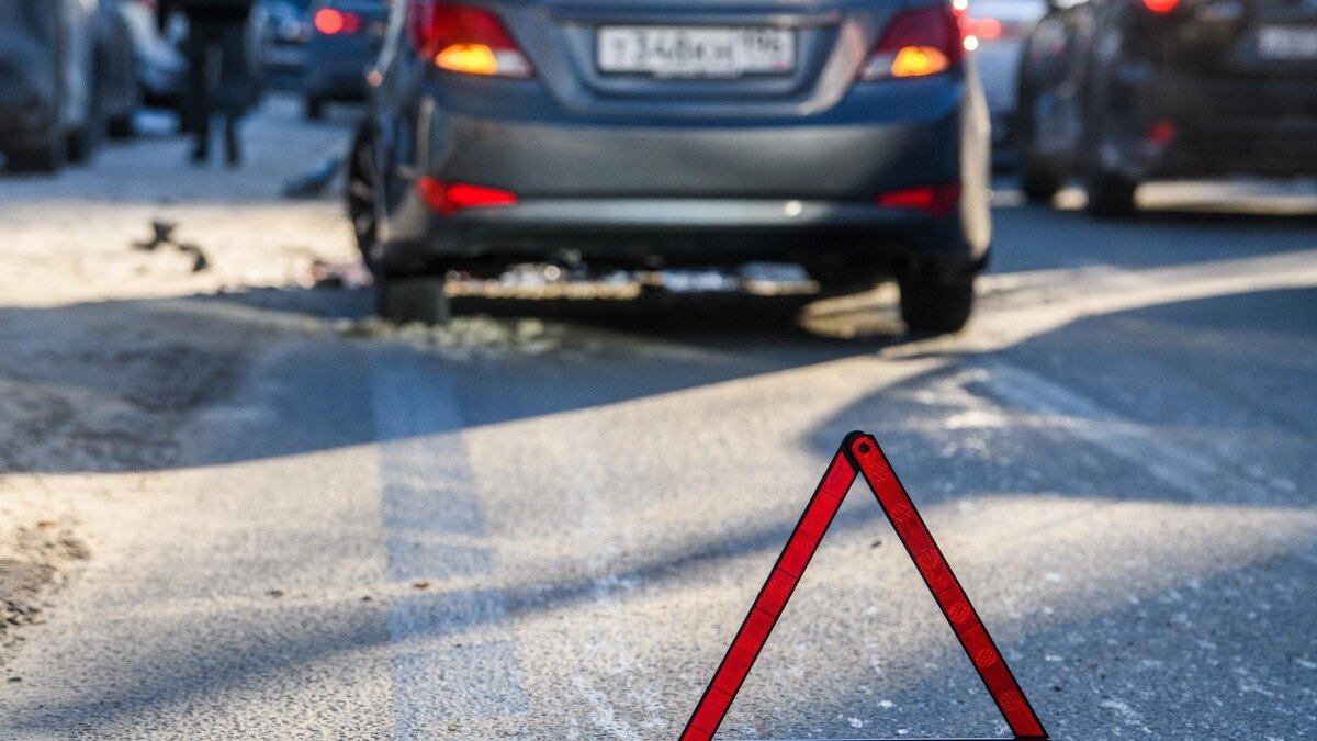    Фото: Ilya Moskovets/URA.RU