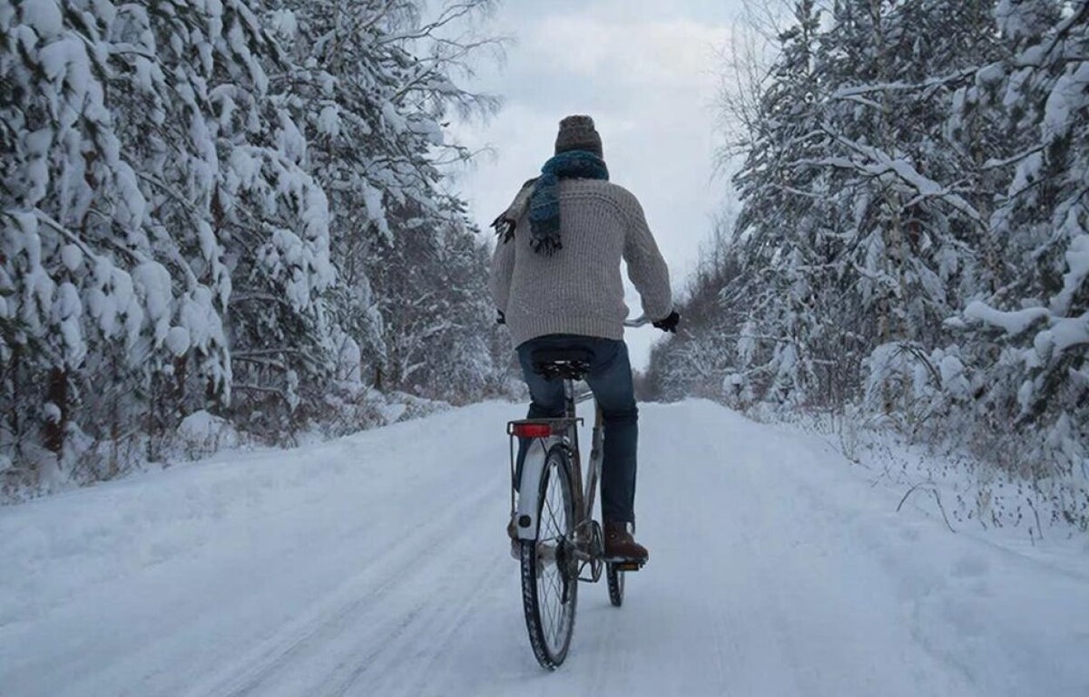   Фото: сгенерировано ии