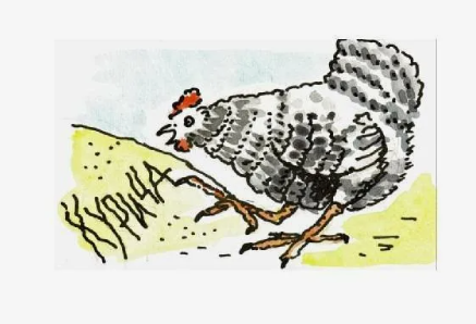 Картинка из Интернета