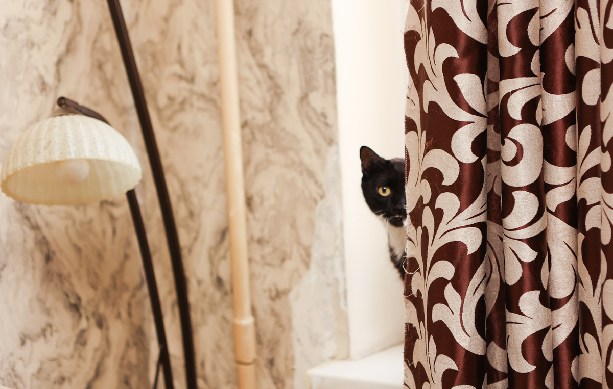 Не бойтесь:) Нам еще страшнее остаться без вашей помощи