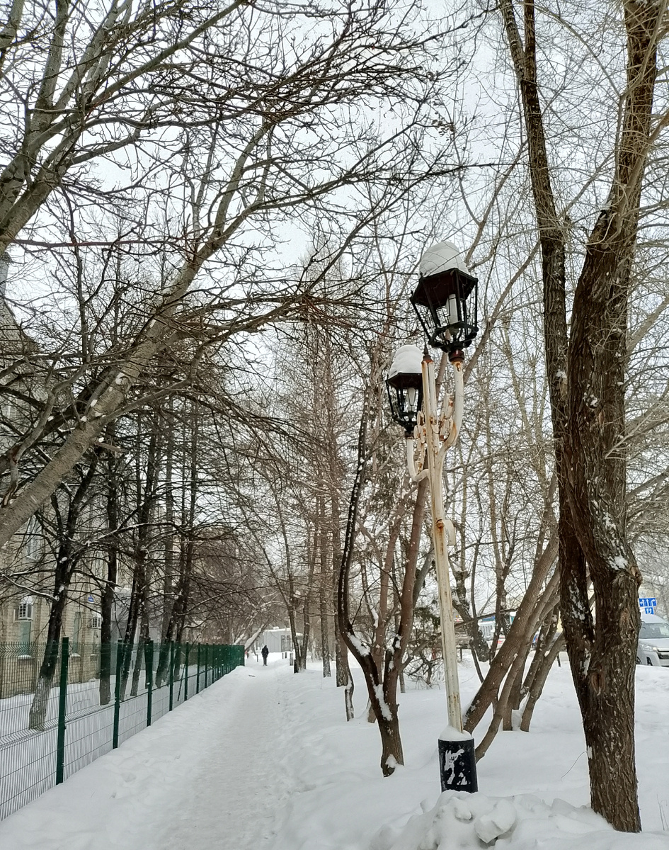 Потеплело, и почти каждый день снег идет🌨