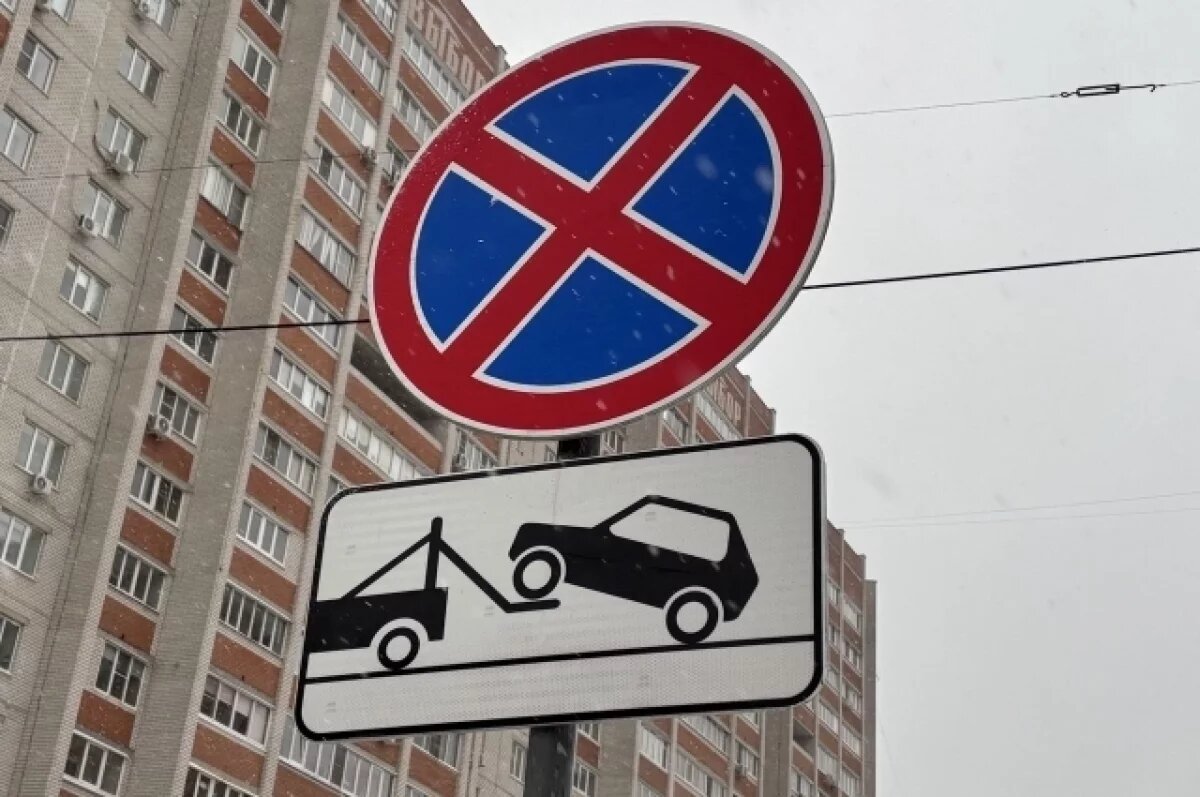    В Казани во время плана «Буран» отменят плату за муниципальные парковки