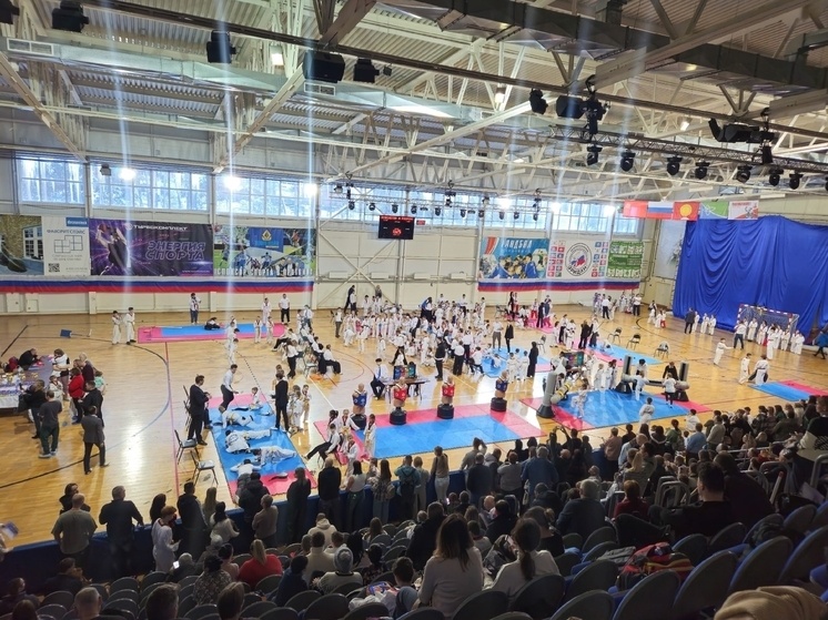     Фото: соцсеть «ВКонтакте», ДС «Импульс»