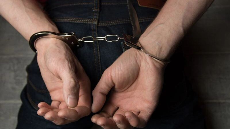    Фото: fotobubas/Shutterstock/Fotodom