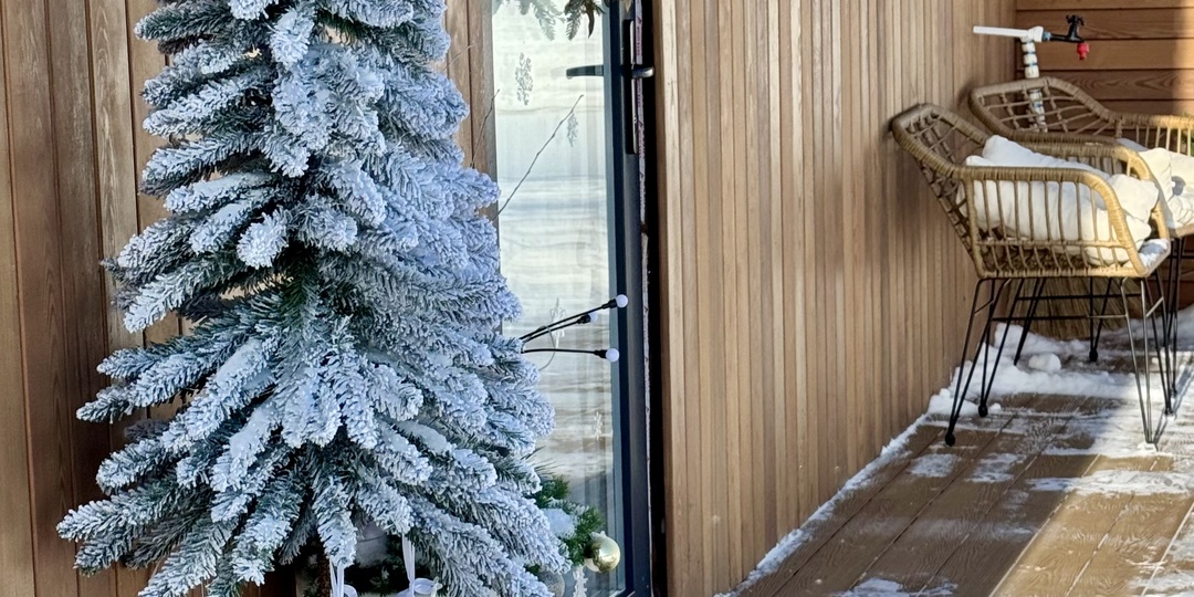 Мороз и солнце