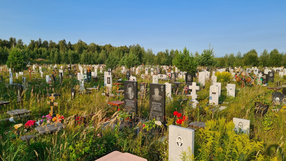    © Константин Долгановский