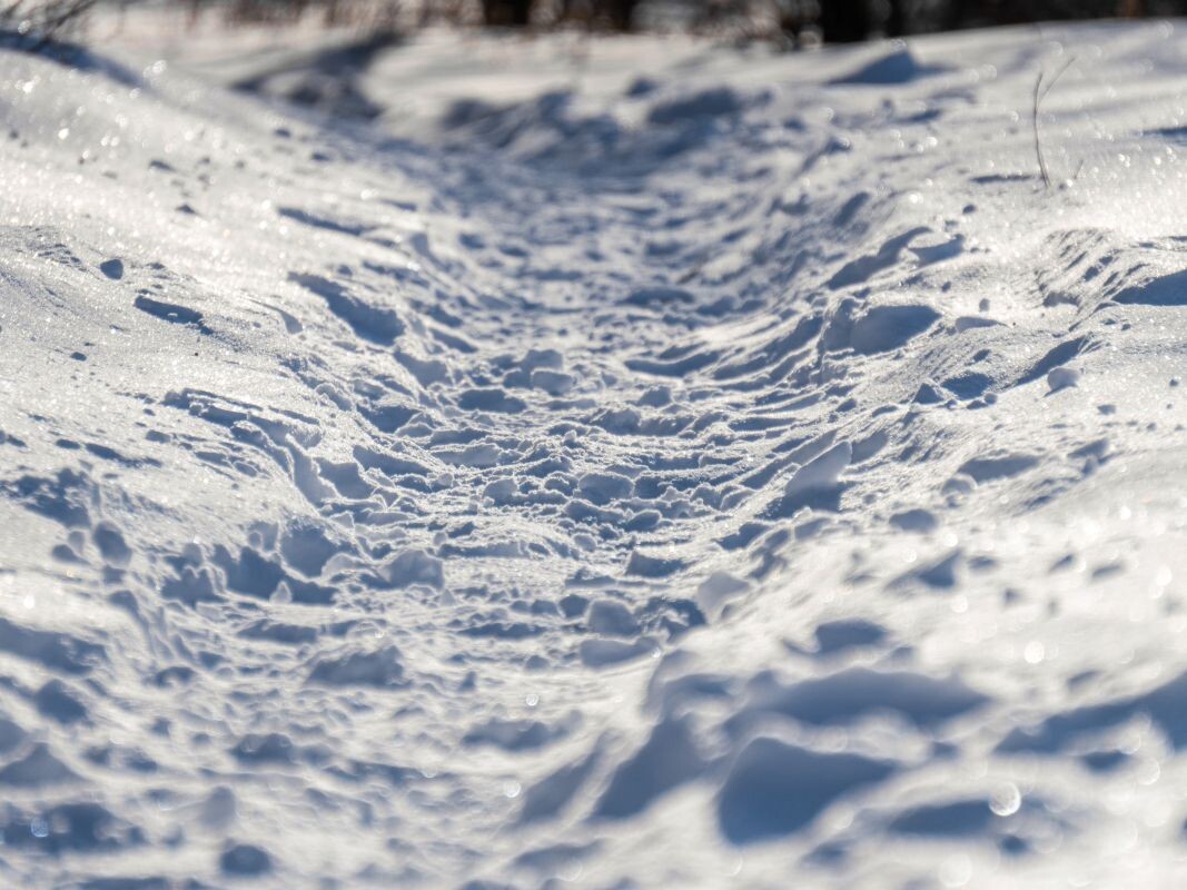    Фото: Сергей Усков