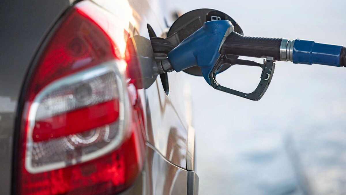    Фото: Сергей Зубков/«Ямал-Медиа»