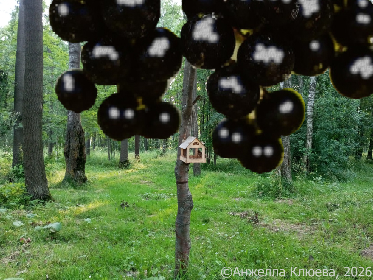 Фото и фотоколлаж - Анжелла Клюева.