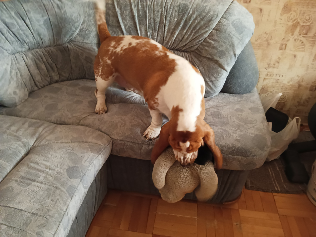 Вытягиваю пингву из проруби