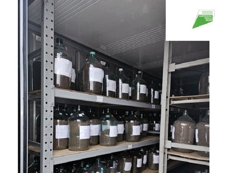     Фото Правительства Владимирской области