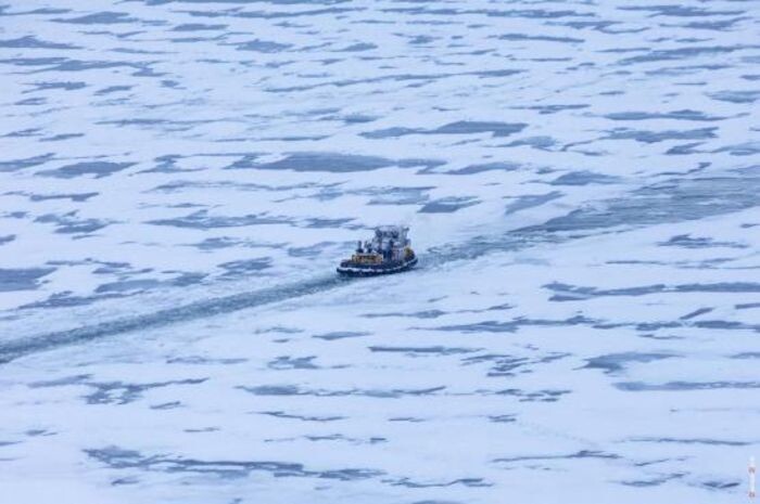 Иллюстрация: Денис Демков