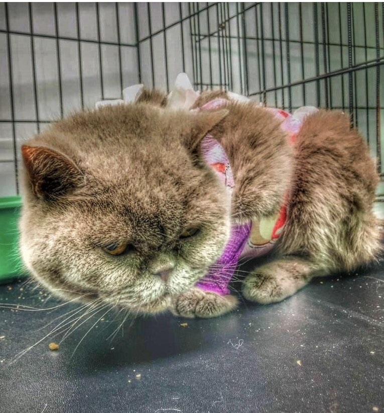 Шанс найти семью в возрасте 12 лет был очень сомнителен...