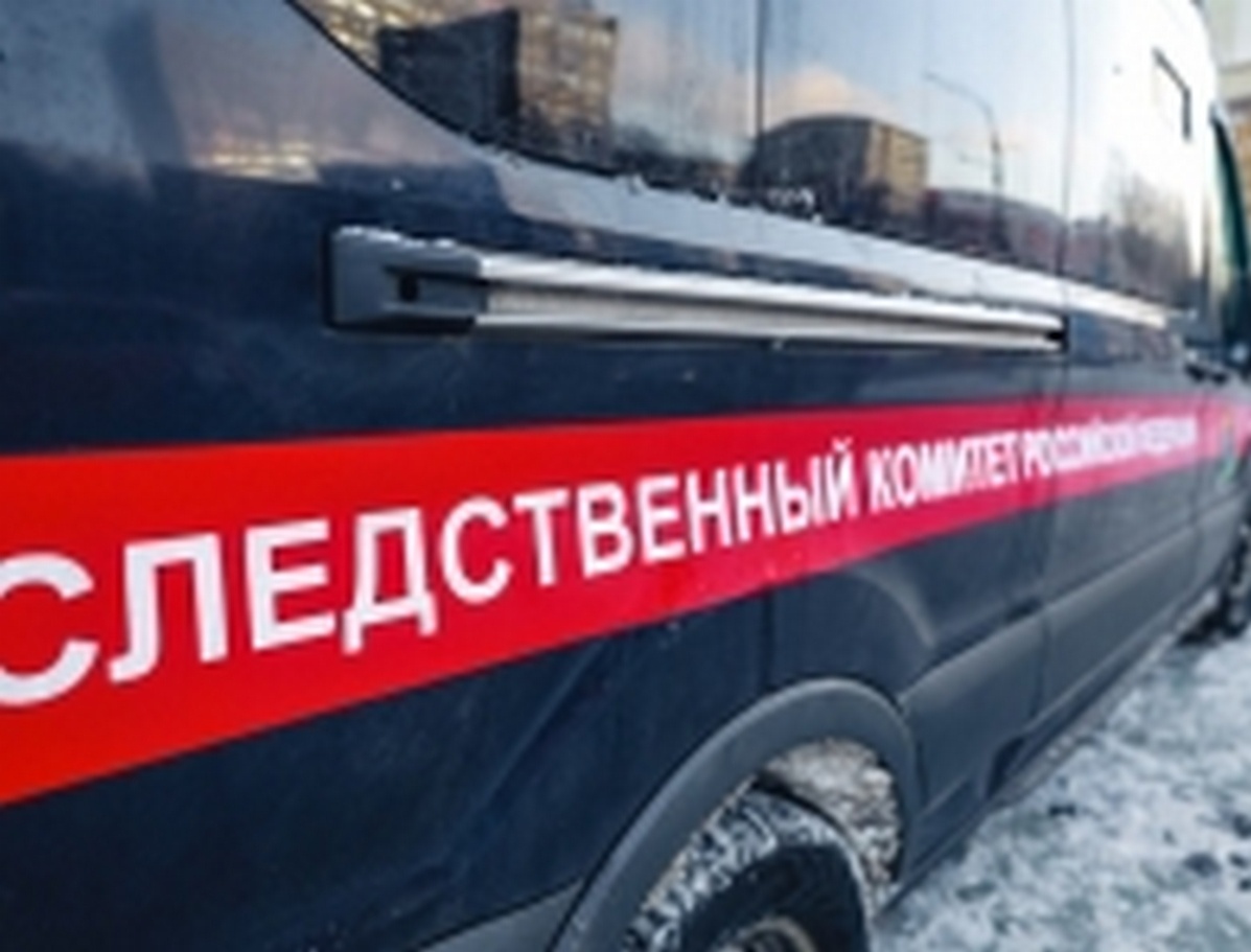 Фото: СУ СКР по Московской области 