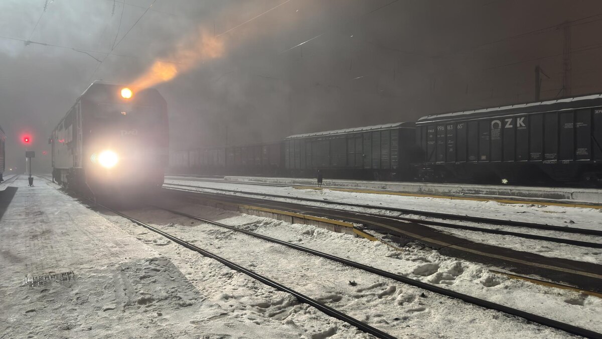    Фото: Alexander Legky/Global Look Press