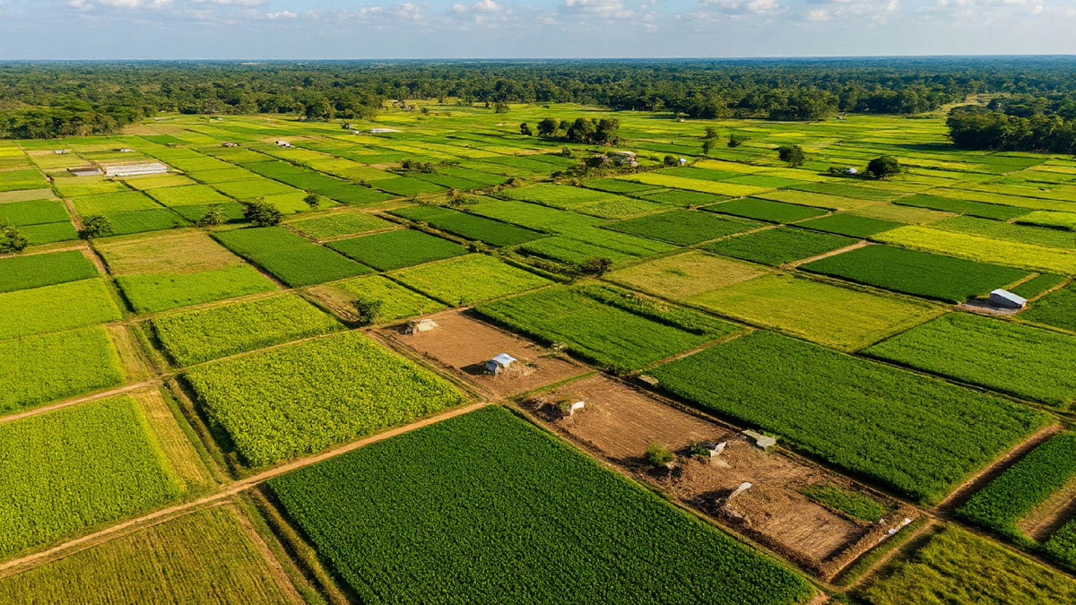 Фото: ДОМ.NEWS