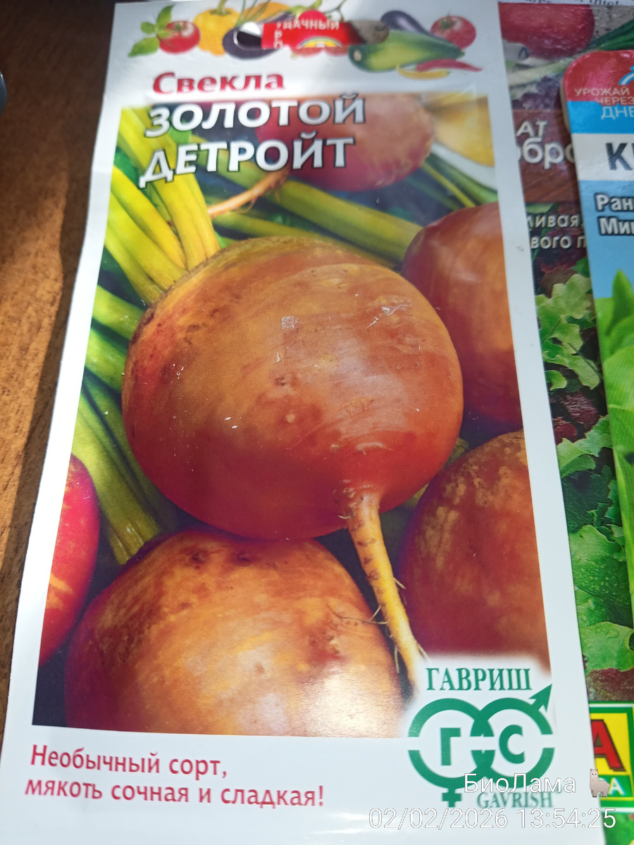 Жёлтая свёкла