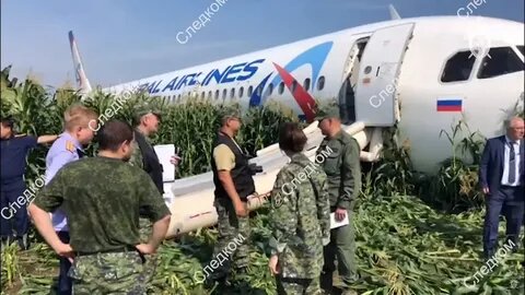 Картинка взята из открытых источников интернета.