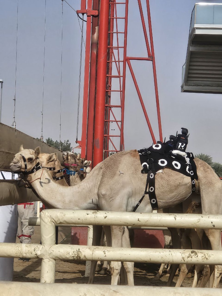 На старте (листайте дальше)