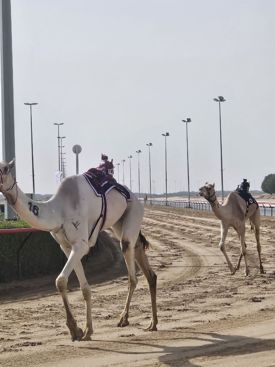 Проходят поворот
